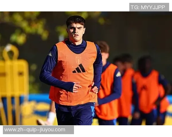 数据丨来看看巴特萨吉的各项记载 数据丨来看看巴特萨吉的各项记载